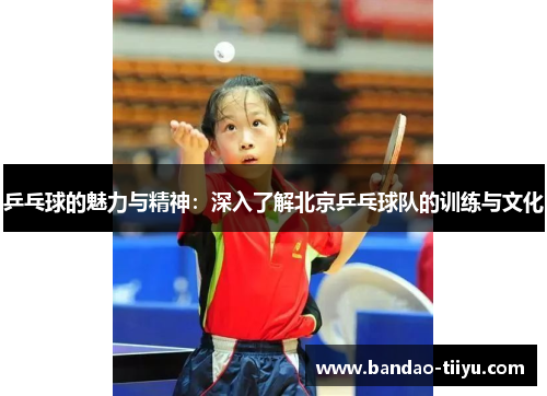 乒乓球的魅力与精神：深入了解北京乒乓球队的训练与文化