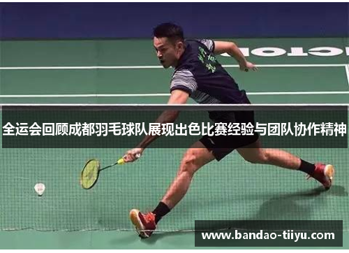 全运会回顾成都羽毛球队展现出色比赛经验与团队协作精神
